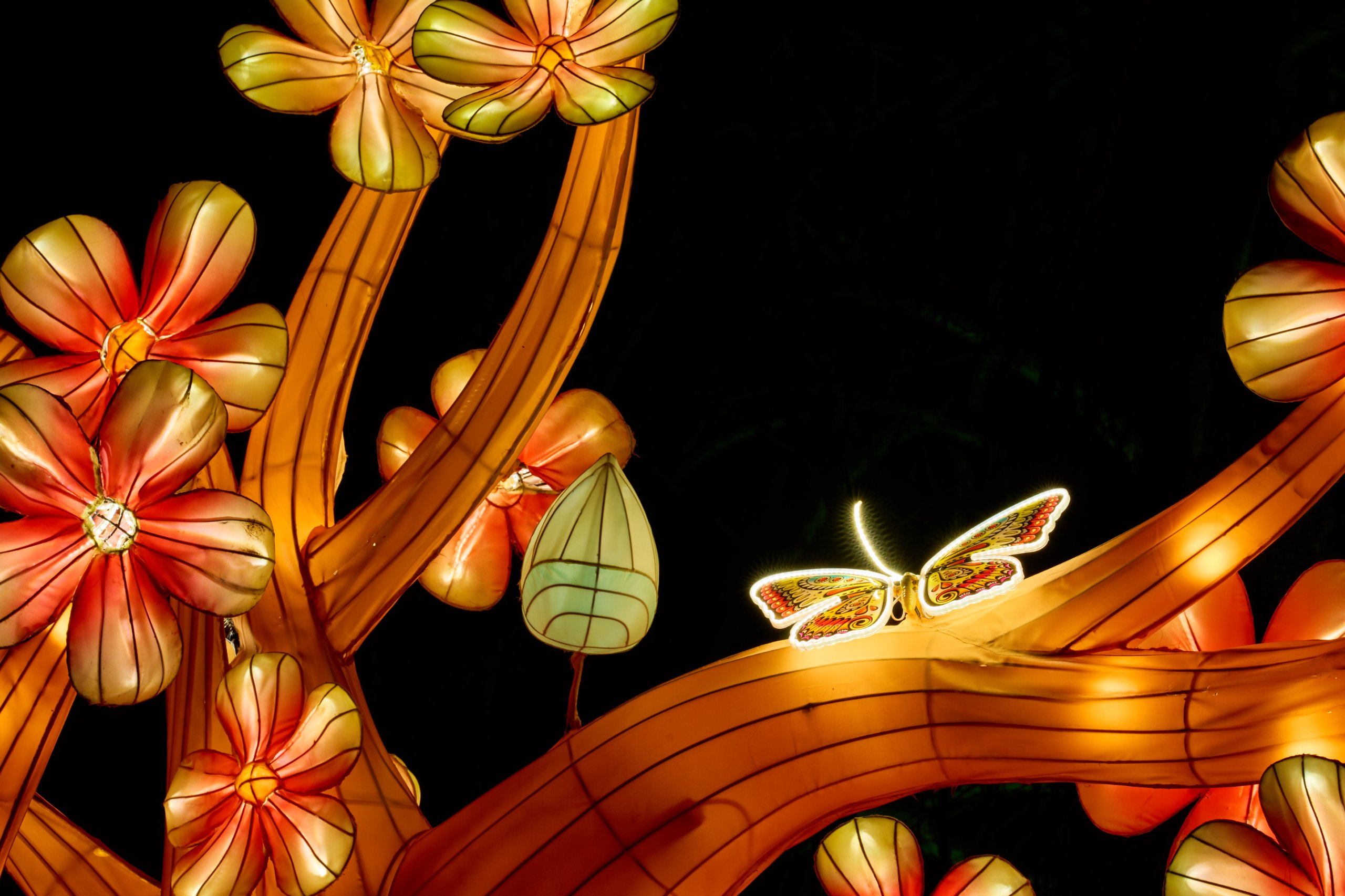 2026 02 05 Parkleuchten 0428